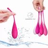 Kit d'entrainement des muscles pelviennes kegel fit avec 6 poids – cosmétique intime de qualité
