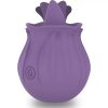 Stimulateur clitorial violet avec 10 modes de vibration violet – cosmétique intime de qualité