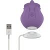 Stimulateur clitorial violet avec 10 modes de vibration violet – cosmétique intime de qualité