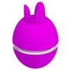 Vibrateur ronde en silicone gemini ball violet – cosmétique intime de qualité
